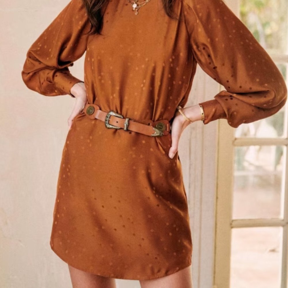 Sezane Erell dress (sz 38 or 6)